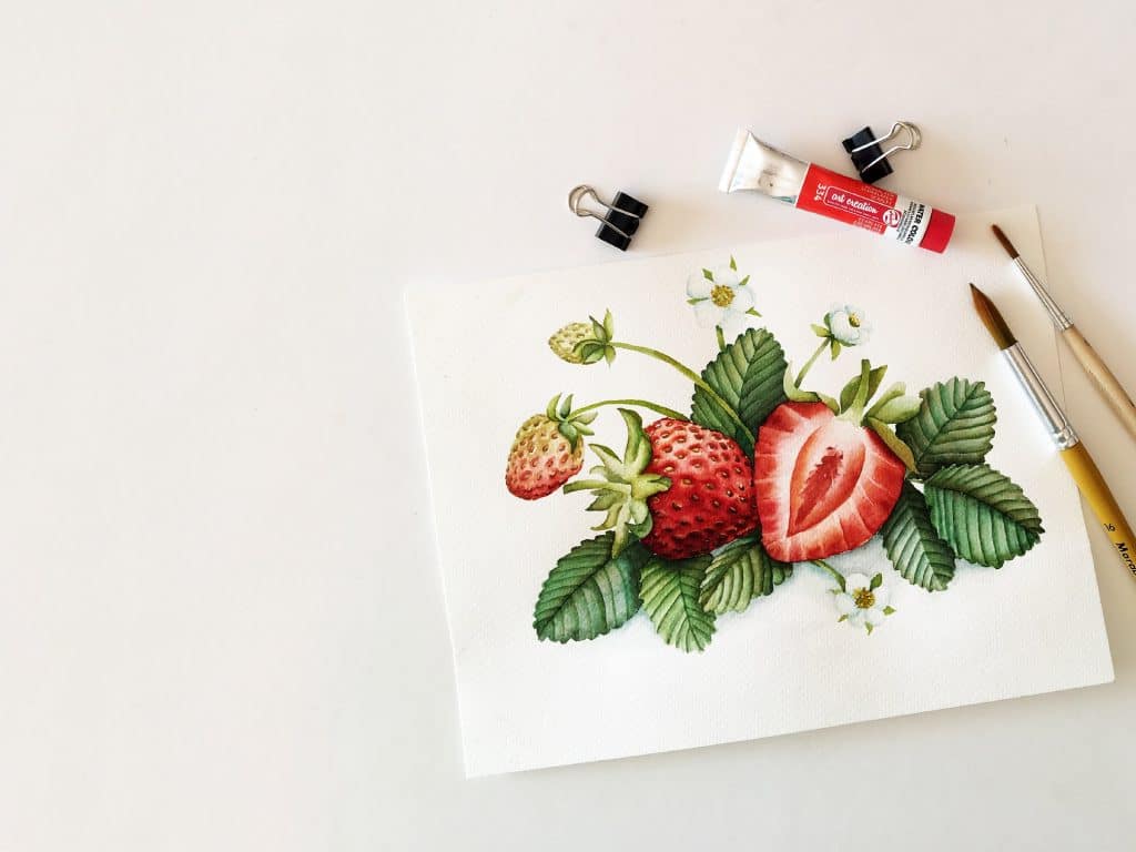 Strawberries - botanical watercolor illustration