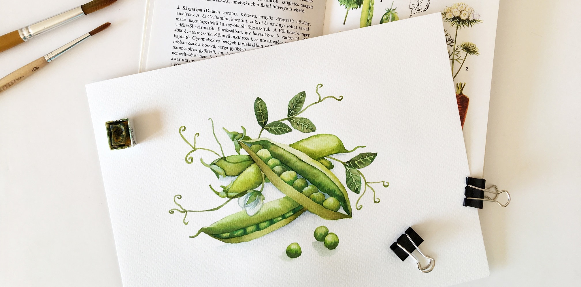 Watercolor Veggies - greenpeas