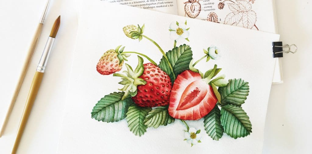 Watercolor Veggies - strawberries