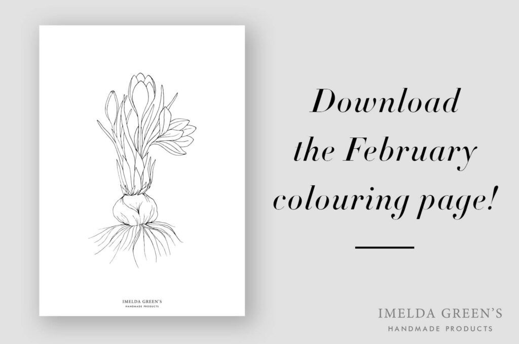 Downloadable coloring page | Crocus botanical illustration - watercolor tutorial