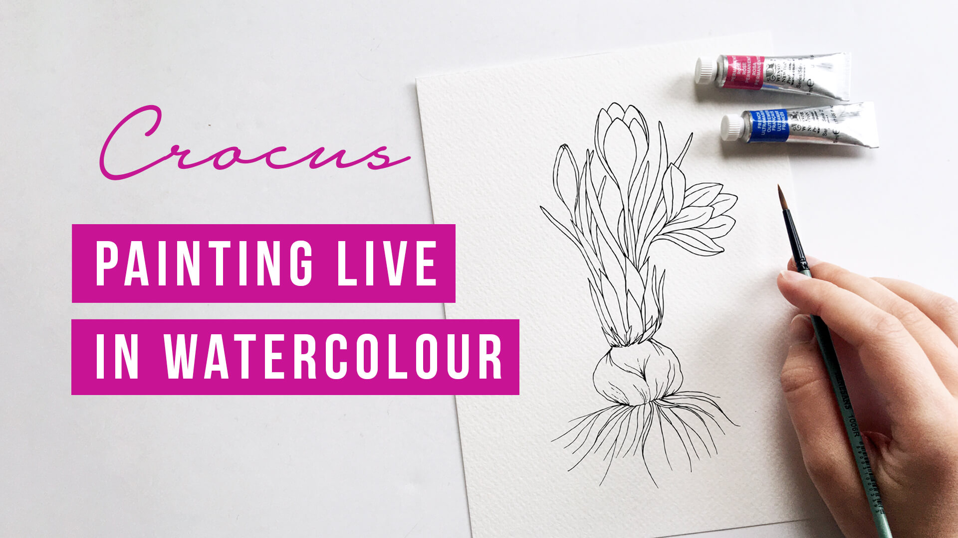 Downloadable coloring page | Crocus botanical illustration - watercolor tutorial