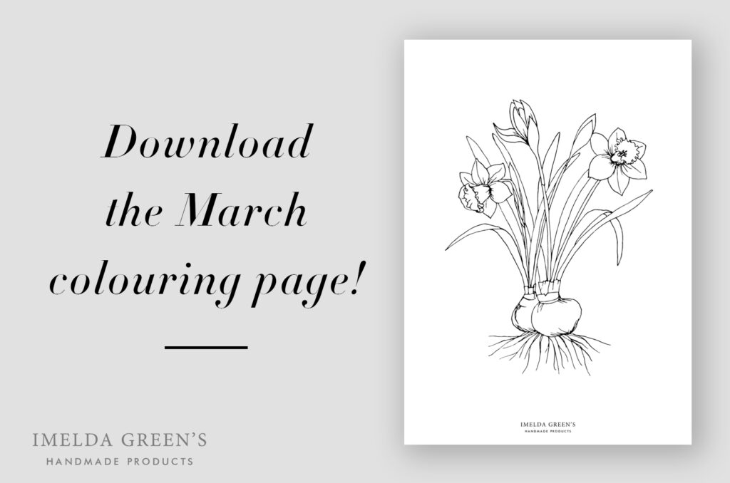 Downloadable coloring page | Daffodil botanical illustration - watercolor tutorial