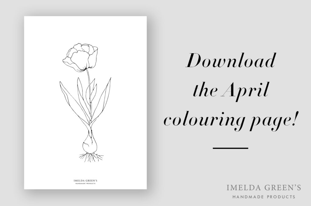 Downloadable coloring page | Tulip botanical illustration - watercolor tutorial
