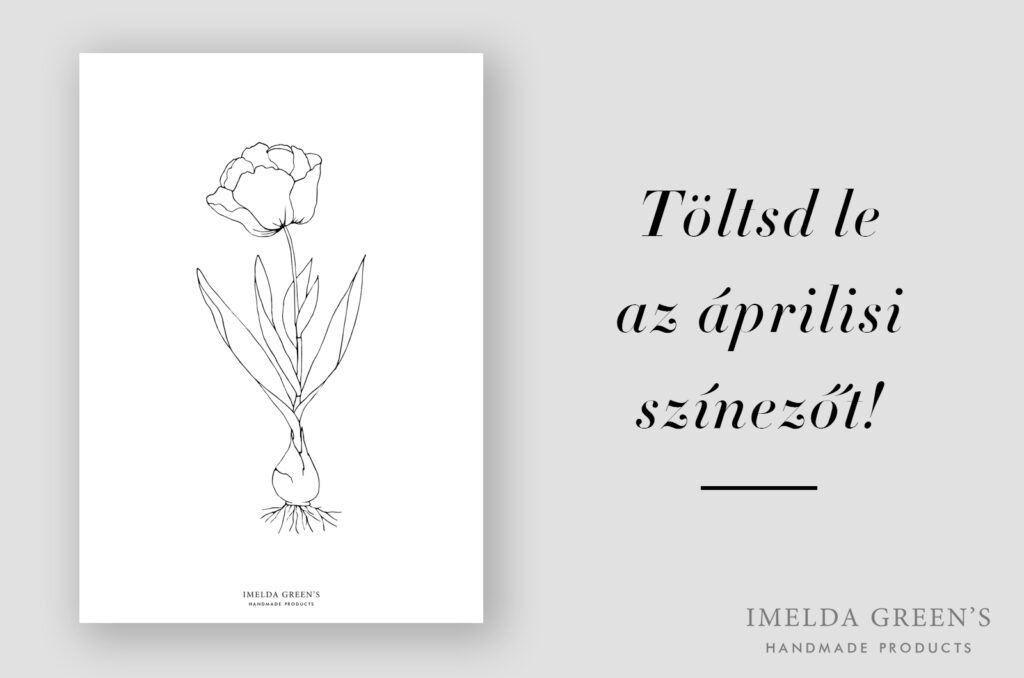 Tulipán színező | virágok | akvarell festés kezdőknek