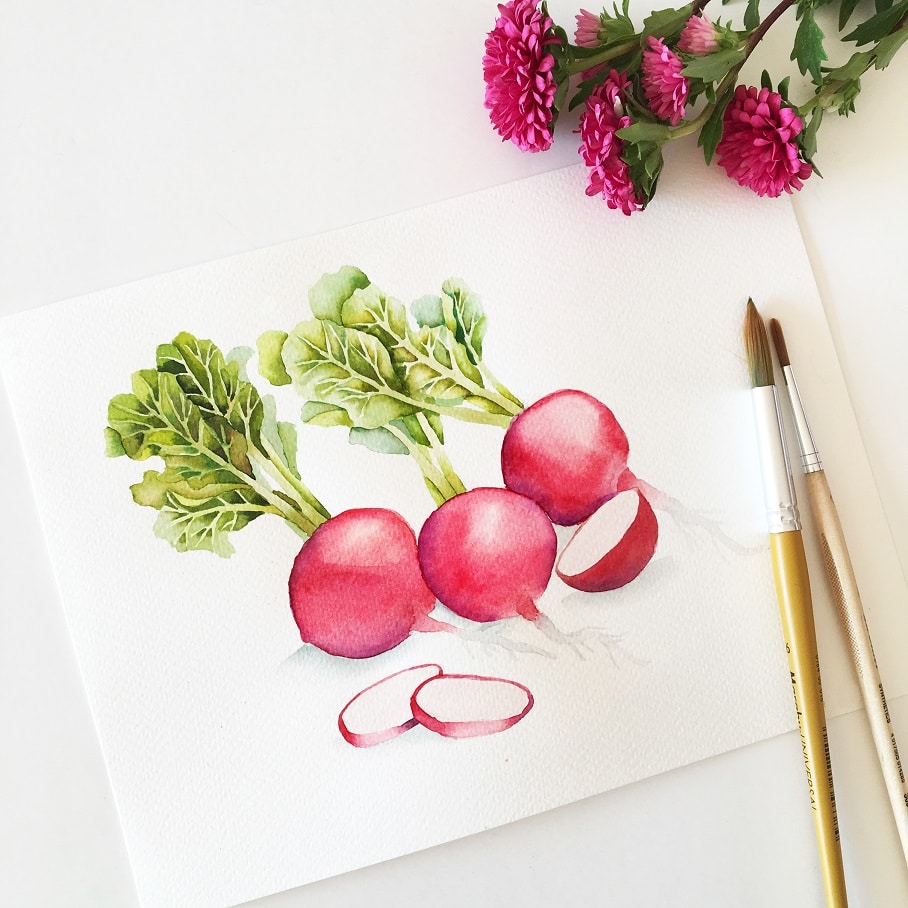 Watercolor Veggies - radishes