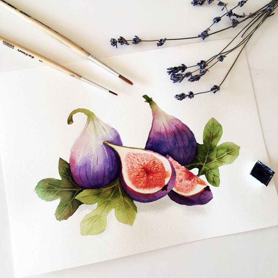 Watercolor Veggies - fig