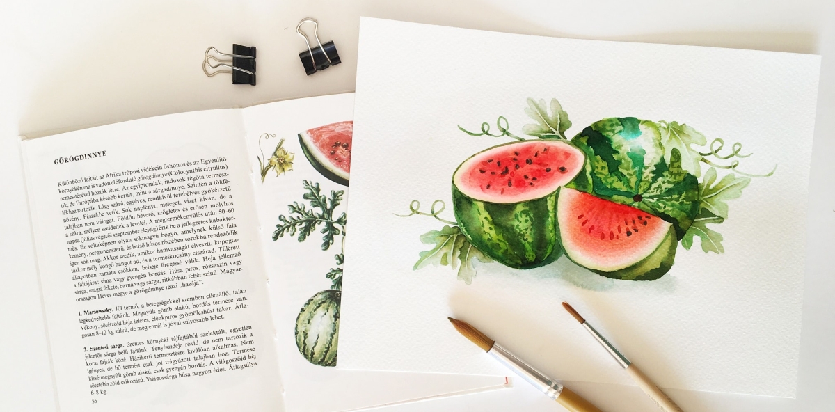 Watercolor Veggies - watermelon